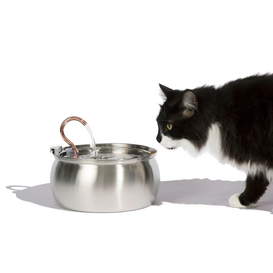 Sippo Kattefontæne