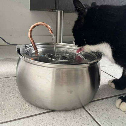 Sippo Kattefontæne