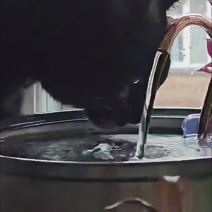 Sippo™ kattefontæne